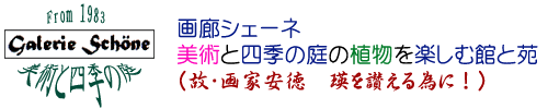 シェーネ　美術と四季の庭の植物を楽しむ館と苑　Art and Four Seasons Garden